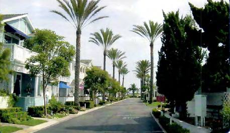 Sycamore Creek site plan and paver drive courts